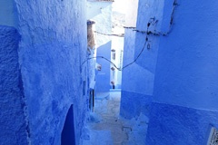 DSC00157a